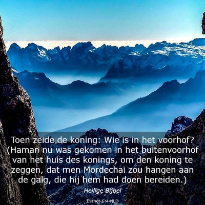 Picture 03 - Esther 6:4 NLD - Toen zeide de koning: Wie is in het voorhof? - Bible Verse Picture