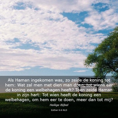 Picture 03 - Esther 6:6 NLD - Als Haman ingekomen was, zo zeide de koning tot - Bible Verse Picture