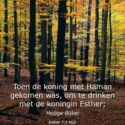 Picture 03 - Esther 7:1 NLD - Toen de koning met Haman gekomen was, om te - Bible Verse Picture