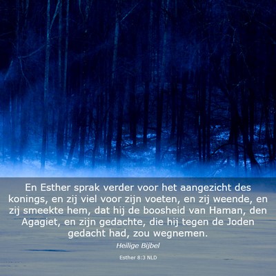 Picture 03 - Esther 8:3 NLD - En Esther sprak verder voor het aangezicht des - Bible Verse Picture