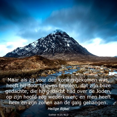 Picture 03 - Esther 9:25 NLD - Maar als zij voor den koning gekomen was, heeft - Bible Verse Picture