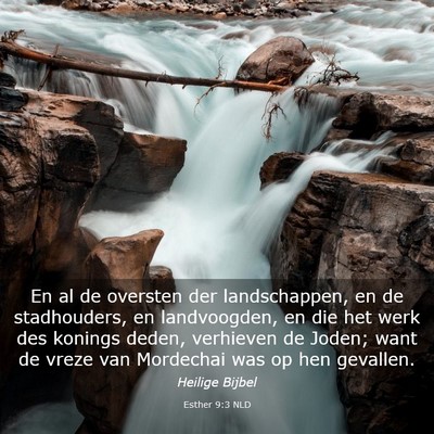 Picture 03 - Esther 9:3 NLD - En al de oversten der landschappen, en de - Bible Verse Picture