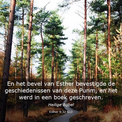 Picture 03 - Esther 9:32 NLD - En het bevel van Esther bevestigde de - Bible Verse Picture