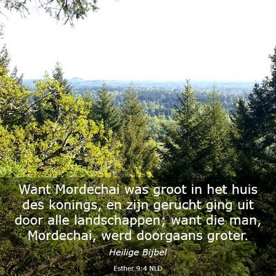 Picture 03 - Esther 9:4 NLD - Want Mordechai was groot in het huis des konings, - Bible Verse Picture