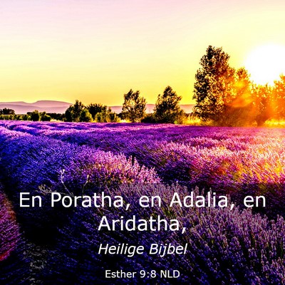 Picture 03 - Esther 9:8 NLD - En Poratha, en Adalia, en - Bible Verse Picture