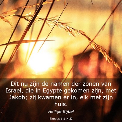 Picture 03 - Exodus 1:1 NLD - Dit nu zijn de namen der zonen van Israel, die in - Bible Verse Picture