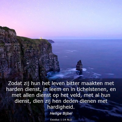Picture 03 - Exodus 1:14 NLD - Zodat zij hun het leven bitter maakten met harden - Bible Verse Picture