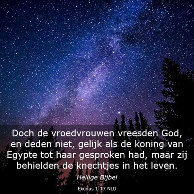 Picture 03 - Exodus 1:17 NLD - Doch de vroedvrouwen vreesden God, en deden niet, - Bible Verse Picture