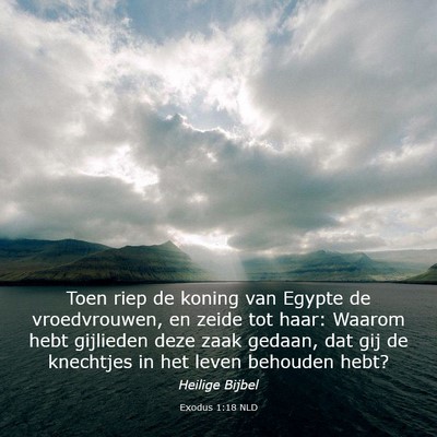 Picture 03 - Exodus 1:18 NLD - Toen riep de koning van Egypte de vroedvrouwen, - Bible Verse Picture