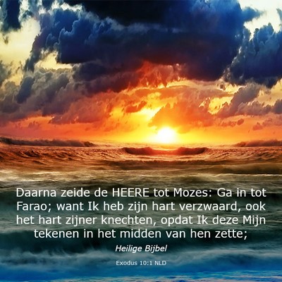 Picture 03 - Exodus 10:1 NLD - Daarna zeide de HEERE tot Mozes: Ga in tot Farao; - Bible Verse Picture