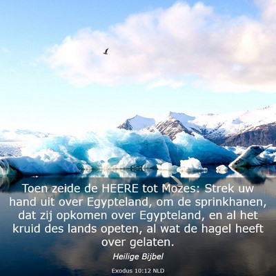 Picture 03 - Exodus 10:12 NLD - Toen zeide de HEERE tot Mozes: Strek uw hand uit - Bible Verse Picture