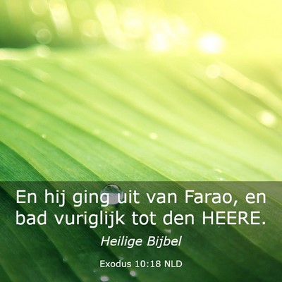 Picture 03 - Exodus 10:18 NLD - En hij ging uit van Farao, en bad vuriglijk tot - Bible Verse Picture