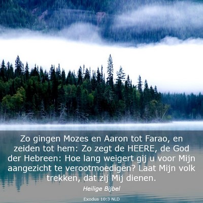 Picture 03 - Exodus 10:3 NLD - Zo gingen Mozes en Aaron tot Farao, en zeiden tot - Bible Verse Picture