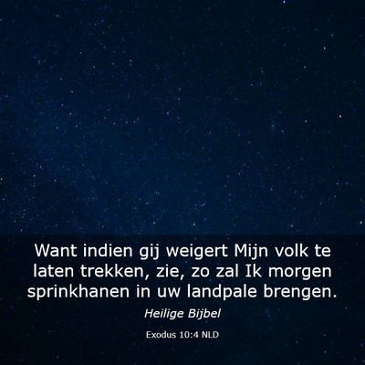 Picture 03 - Exodus 10:4 NLD - Want indien gij weigert Mijn volk te laten - Bible Verse Picture
