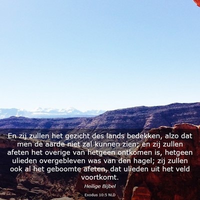 Picture 03 - Exodus 10:5 NLD - En zij zullen het gezicht des lands bedekken, - Bible Verse Picture
