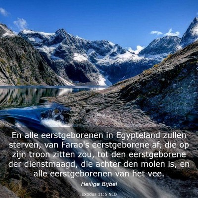 Picture 03 - Exodus 11:5 NLD - En alle eerstgeborenen in Egypteland zullen - Bible Verse Picture