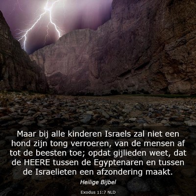 Picture 03 - Exodus 11:7 NLD - Maar bij alle kinderen Israels zal niet een hond - Bible Verse Picture