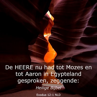 Picture 03 - Exodus 12:1 NLD - De HEERE nu had tot Mozes en tot Aaron in - Bible Verse Picture