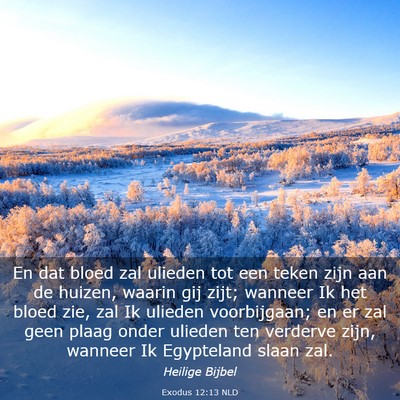 Picture 03 - Exodus 12:13 NLD - En dat bloed zal ulieden tot een teken zijn aan - Bible Verse Picture