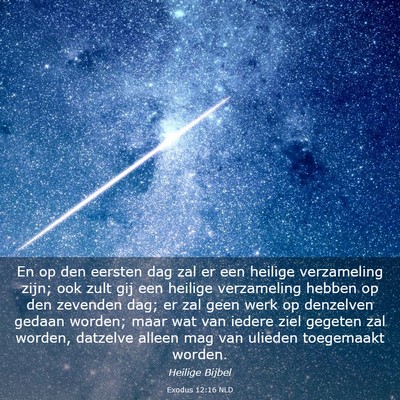 Picture 03 - Exodus 12:16 NLD - En op den eersten dag zal er een heilige - Bible Verse Picture