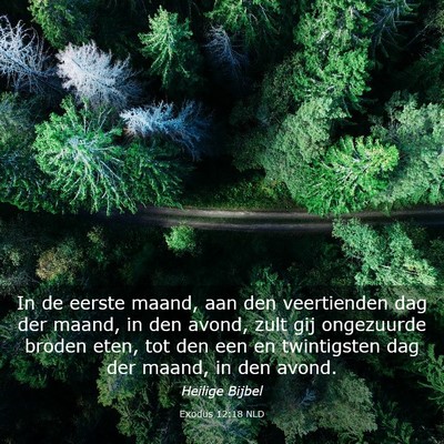 Picture 03 - Exodus 12:18 NLD - In de eerste maand, aan den veertienden dag der - Bible Verse Picture