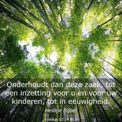 Picture 03 - Exodus 12:24 NLD - Onderhoudt dan deze zaak, tot een inzetting voor - Bible Verse Picture