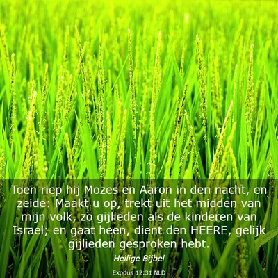 Picture 03 - Exodus 12:31 NLD - Toen riep hij Mozes en Aaron in den nacht, en - Bible Verse Picture