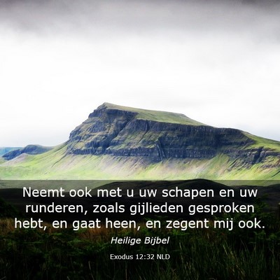 Picture 03 - Exodus 12:32 NLD - Neemt ook met u uw schapen en uw runderen, zoals - Bible Verse Picture