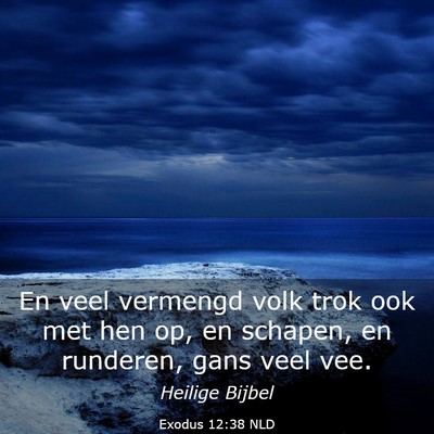 Picture 03 - Exodus 12:38 NLD - En veel vermengd volk trok ook met hen op, en - Bible Verse Picture