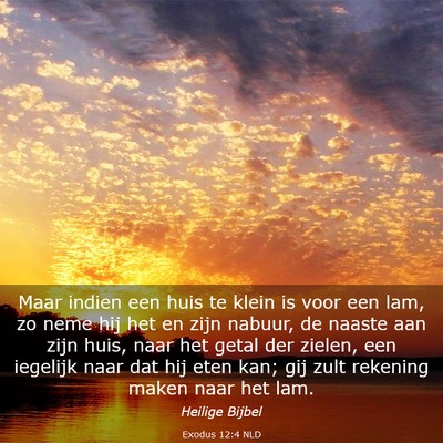Picture 03 - Exodus 12:4 NLD - Maar indien een huis te klein is voor een lam, zo - Bible Verse Picture