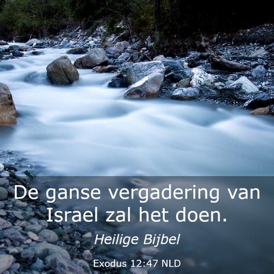 Picture 03 - Exodus 12:47 NLD - De ganse vergadering van Israel zal het - Bible Verse Picture