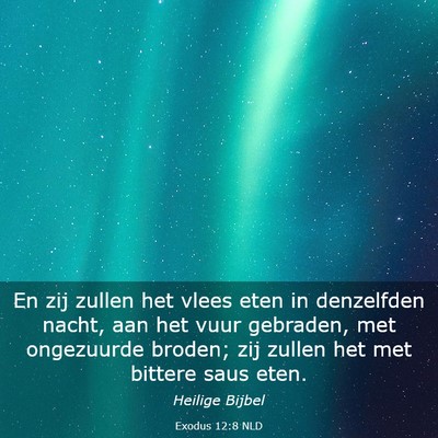 Picture 03 - Exodus 12:8 NLD - En zij zullen het vlees eten in denzelfden nacht, - Bible Verse Picture