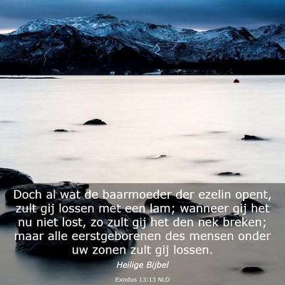 Picture 03 - Exodus 13:13 NLD - Doch al wat de baarmoeder der ezelin opent, zult - Bible Verse Picture