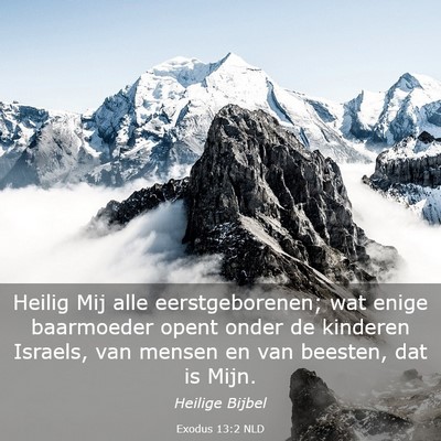 Picture 03 - Exodus 13:2 NLD - Heilig Mij alle eerstgeborenen; wat enige - Bible Verse Picture