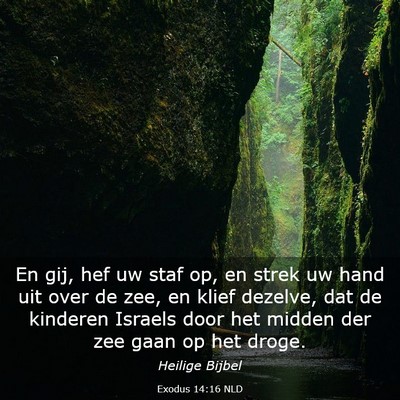 Picture 03 - Exodus 14:16 NLD - En gij, hef uw staf op, en strek uw hand uit over - Bible Verse Picture