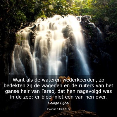 Picture 03 - Exodus 14:28 NLD - Want als de wateren wederkeerden, zo bedekten zij - Bible Verse Picture