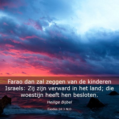 Picture 03 - Exodus 14:3 NLD - Farao dan zal zeggen van de kinderen Israels: Zij - Bible Verse Picture