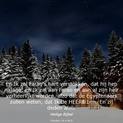 Picture 03 - Exodus 14:4 NLD - En Ik zal Farao's hart verstokken, dat hij hen - Bible Verse Picture