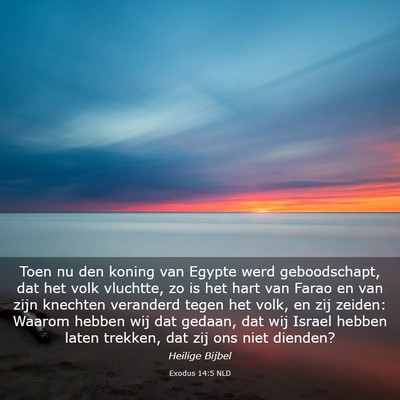 Picture 03 - Exodus 14:5 NLD - Toen nu den koning van Egypte werd geboodschapt, - Bible Verse Picture