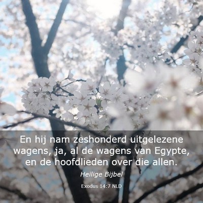 Picture 03 - Exodus 14:7 NLD - En hij nam zeshonderd uitgelezene wagens, ja, al - Bible Verse Picture