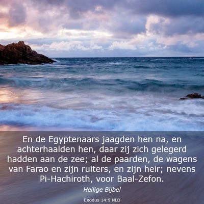 Picture 03 - Exodus 14:9 NLD - En de Egyptenaars jaagden hen na, en - Bible Verse Picture