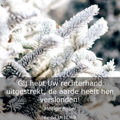 Picture 03 - Exodus 15:12 NLD - Gij hebt Uw rechterhand uitgestrekt, de aarde - Bible Verse Picture