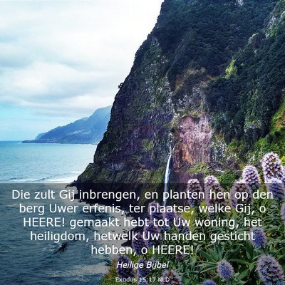 Picture 03 - Exodus 15:17 NLD - Die zult Gij inbrengen, en planten hen op den - Bible Verse Picture
