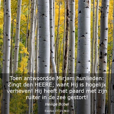 Picture 03 - Exodus 15:21 NLD - Toen antwoordde Mirjam hunlieden: Zingt den - Bible Verse Picture