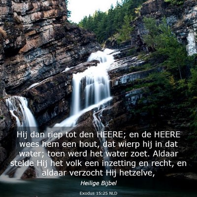 Picture 03 - Exodus 15:25 NLD - Hij dan riep tot den HEERE; en de HEERE wees hem - Bible Verse Picture