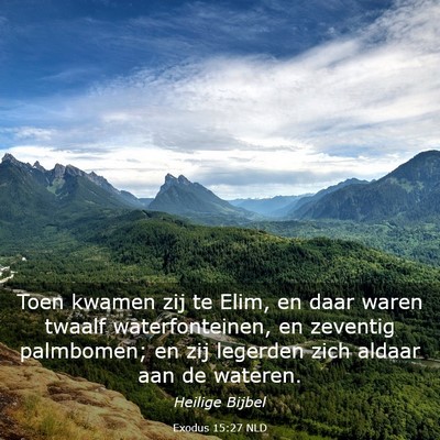 Picture 03 - Exodus 15:27 NLD - Toen kwamen zij te Elim, en daar waren twaalf - Bible Verse Picture