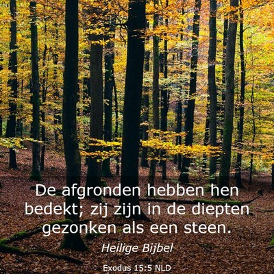 Picture 03 - Exodus 15:5 NLD - De afgronden hebben hen bedekt; zij zijn in de - Bible Verse Picture