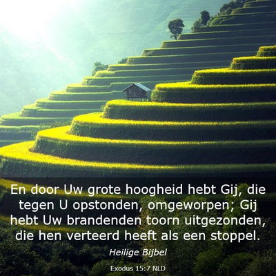 Picture 03 - Exodus 15:7 NLD - En door Uw grote hoogheid hebt Gij, die tegen U - Bible Verse Picture