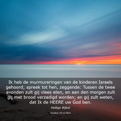 Picture 03 - Exodus 16:12 NLD - Ik heb de murmureringen van de kinderen Israels - Bible Verse Picture