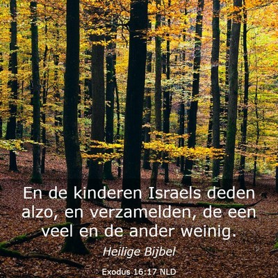 Picture 03 - Exodus 16:17 NLD - En de kinderen Israels deden alzo, en - Bible Verse Picture